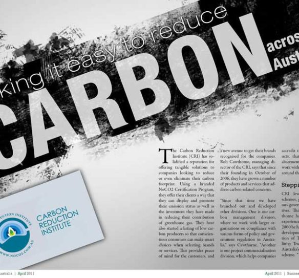 carbon-reduction Magazine Layout Design